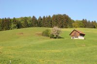 IMG_8251