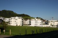 IMG_8302